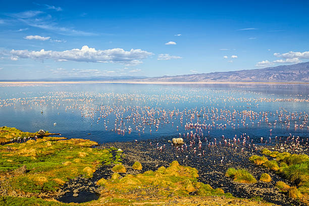 9 days Tanzania safari Tour to Tarangire, Lake Manyara, Lake Natron, Serengeti (3 nights), Ngorongoro Crater, and Lake Eyasi